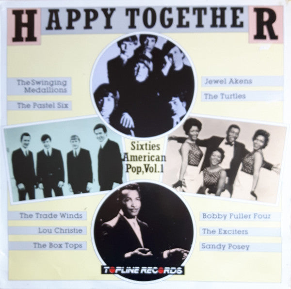 Various – Happy Together  (Vinilo usado)  (VG+)